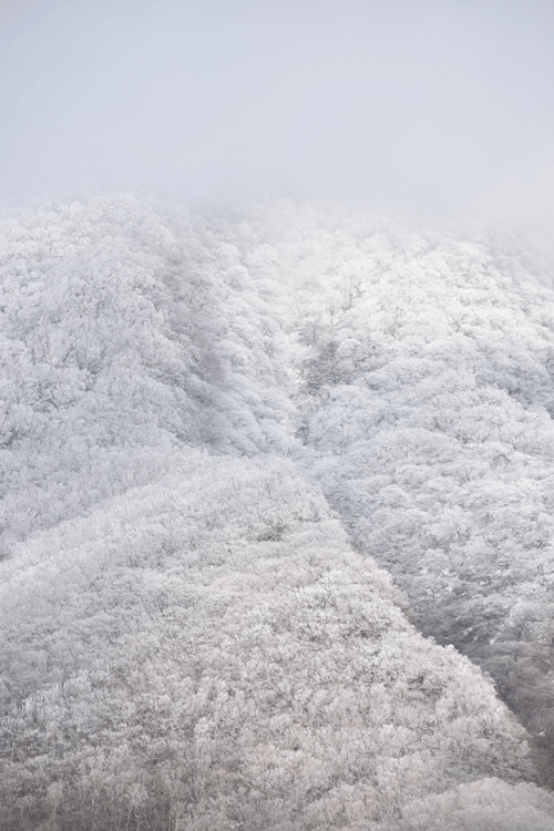 4月2日 赤城山 霧氷_a0001354_19190300.gif