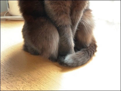 季節の定期便_b0300759_08384187.jpeg