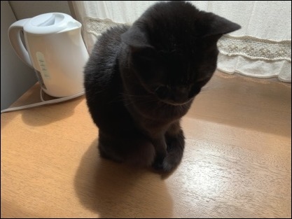 季節の定期便_b0300759_08385829.jpeg