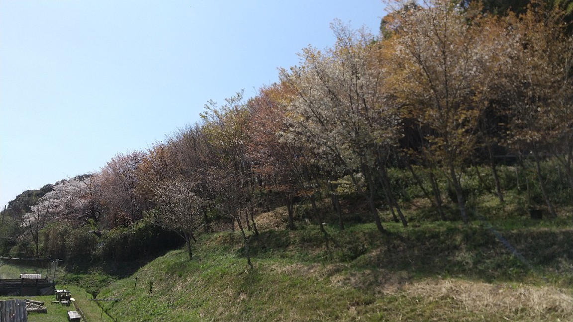 ほっと一息_b0339572_23523246.jpg