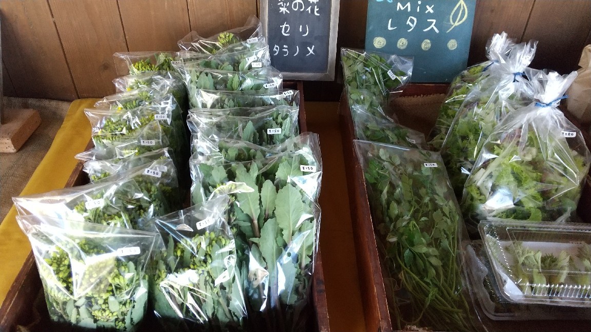 ほっと一息_b0339572_23523358.jpg