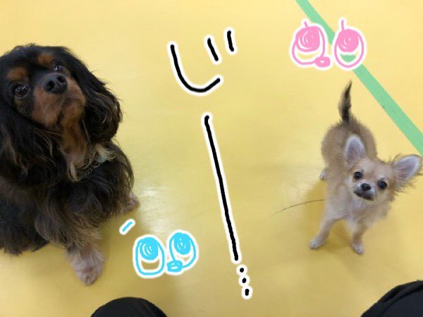 トレーニングブログ_f0357682_20031366.jpeg