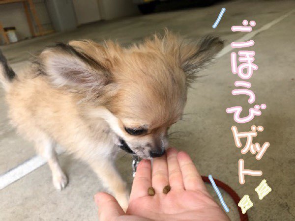 トレーニングブログ_f0357682_20033503.jpeg