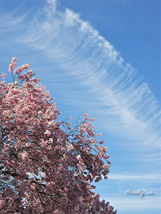 魅かれる雲_d0177586_16014567.jpg