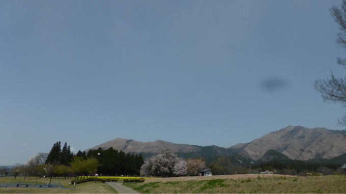 3蜜と、春(^^)_d0132688_19532557.jpg