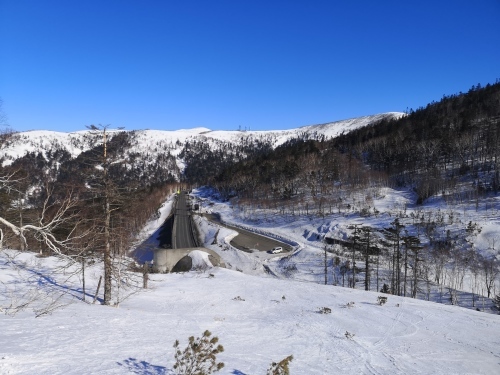 BCスキー ペケレベツ岳_d0198793_17305787.jpg