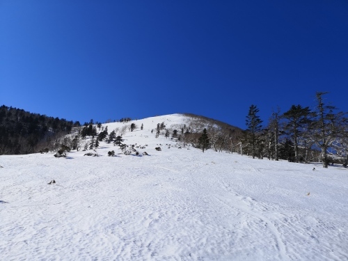 BCスキー ペケレベツ岳_d0198793_17325183.jpg