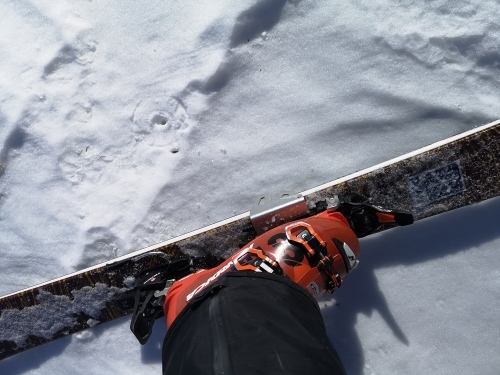 BCスキー ペケレベツ岳_d0198793_17361282.jpg