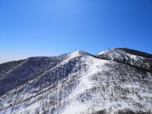 BCスキー ペケレベツ岳_d0198793_17430320.jpg