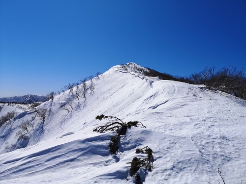 BCスキー ペケレベツ岳_d0198793_17575842.jpg