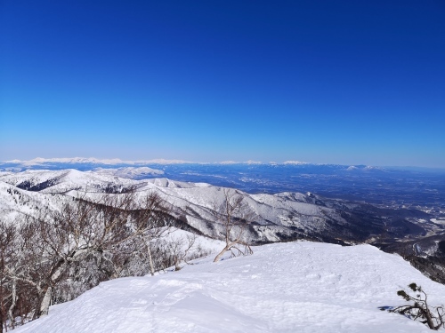 BCスキー ペケレベツ岳_d0198793_19132396.jpg