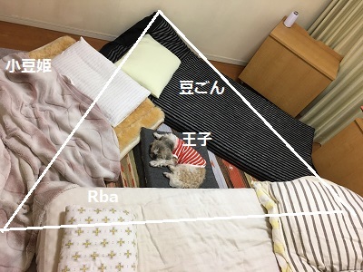 襲撃と桜と新作エプロン♪_f0372998_12444986.jpg