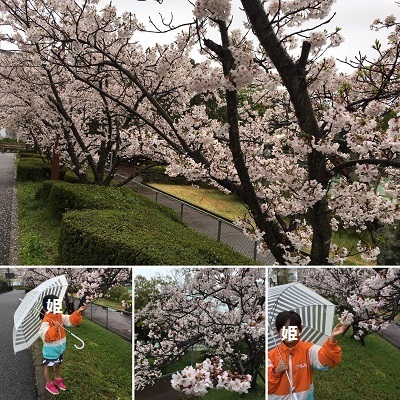 襲撃と桜と新作エプロン♪_f0372998_12580739.jpg