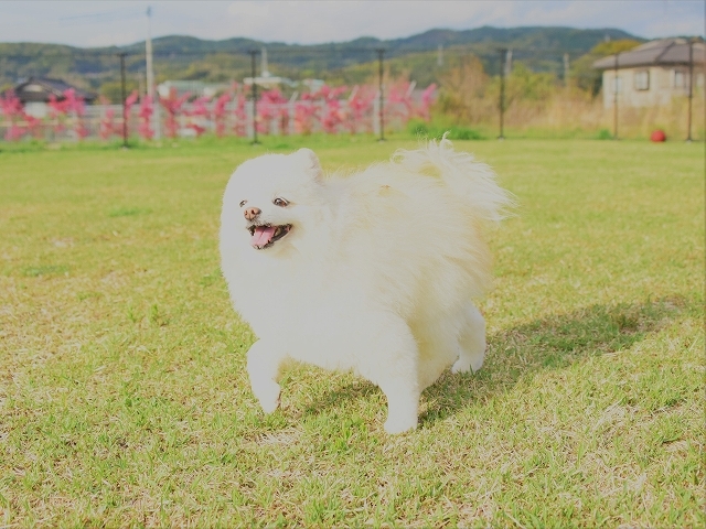 同じことばかり繰り返している_d0360206_00371584.jpg