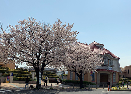 現場はコツコツ進んでいます_a0148909_17381868.jpeg