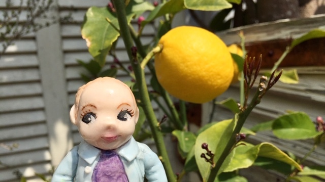 4月4日(土)5日(日) 臨時休業致します。_d0108933_22040159.jpg