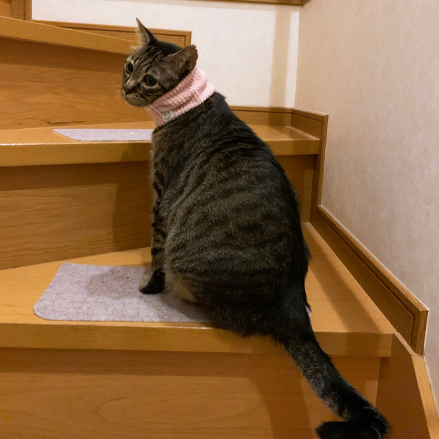 2階での遊び方。_d0355333_20124351.jpg