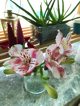 春が来た & マンダリンオリエンタルの無料ヨガクラス☆Flower at Home & Yoga Free Lesson from Mandarin Oriental Hotel_f0371533_12364761.jpg