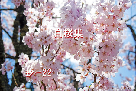 与謝野晶子第二十四歌集【白桜集】抄ー22 : Merrydiary