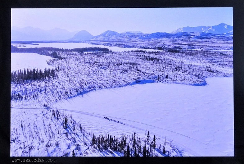 IDITAROD 2020 犬ぞりレース 結果_d0356844_04231173.jpg