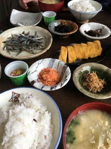新年度突入ウィークランチ_f0082056_20044238.jpg