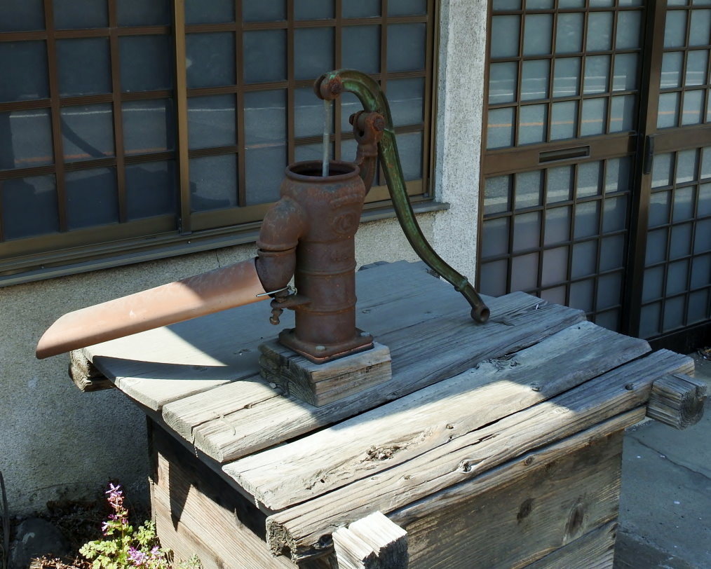甘楽郡 甘楽町 小幡で 用水端のサクラ_c0305565_17420318.jpg