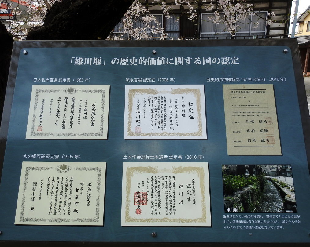 甘楽郡 甘楽町 小幡で 用水端のサクラ_c0305565_17445845.jpg