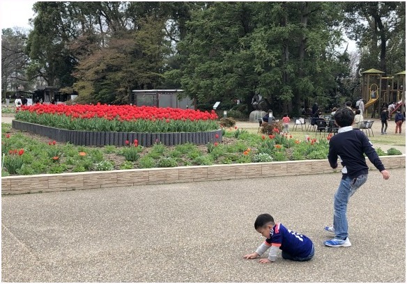 　　　　　　＜　休園前の植物園　①　＞_c0036080_18274628.jpg