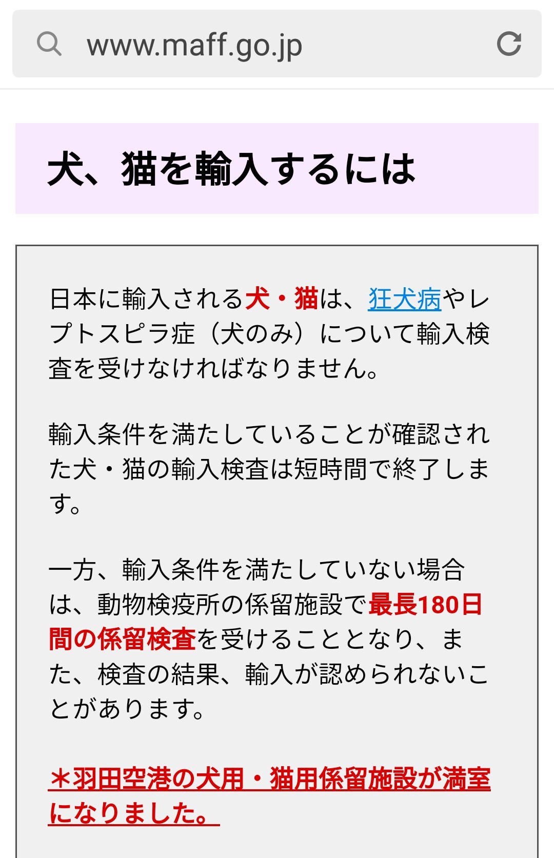 1181日目 羽田空港 係留施設満室 プラチンブリ タイと日本を行ったり来たり