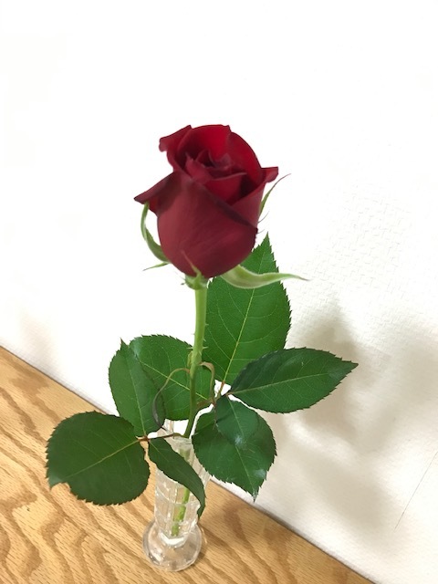 スプリングブリーズ_f0204295_13281644.jpg