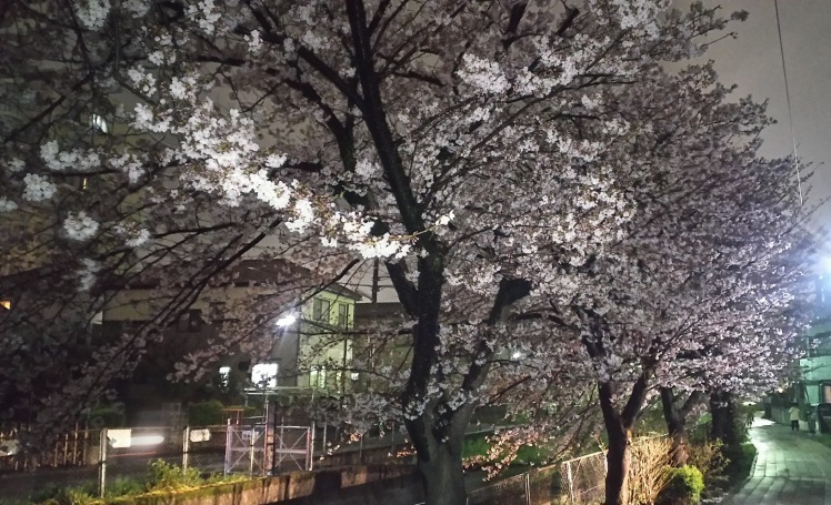 【臨時休業】のお知らせ_d0166598_15025823.jpg