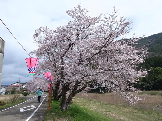 立雲峡 兵庫県朝来市和田山町 バディあきら 酒場放浪 食べ歩き 山歩き 音楽 ギター 映画にワンコ 時々野良猫
