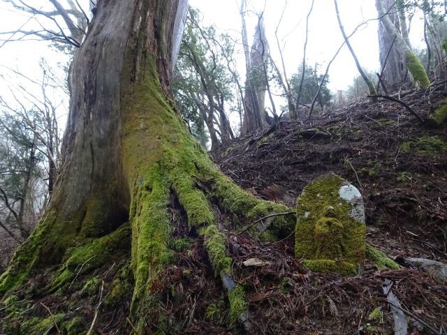 From Mizugamine to Koyasan 水が峯～高野山へ_d0360104_23191419.jpg