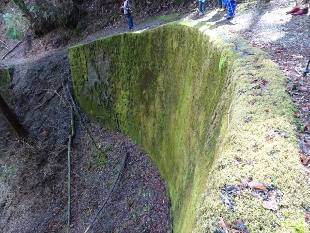 From Mizugamine to Koyasan 水が峯～高野山へ_d0360104_23251454.jpg