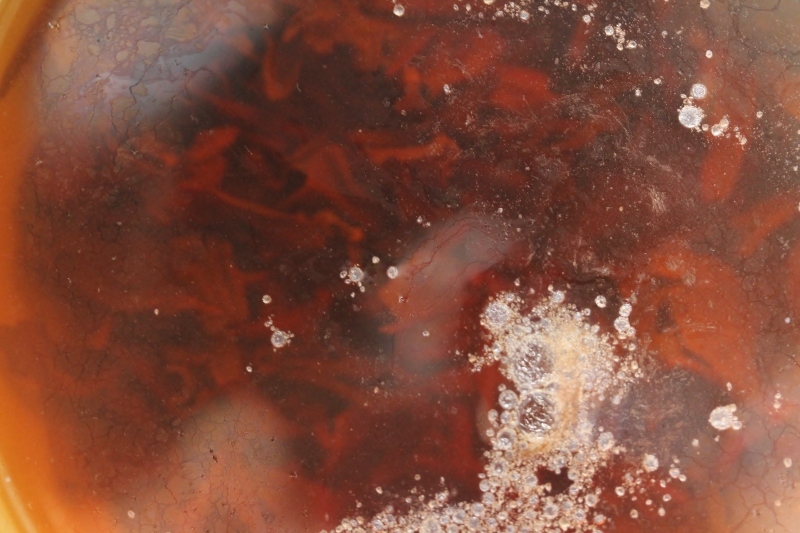 硬水が飲んでみたい、そして_b0220318_06571275.jpg