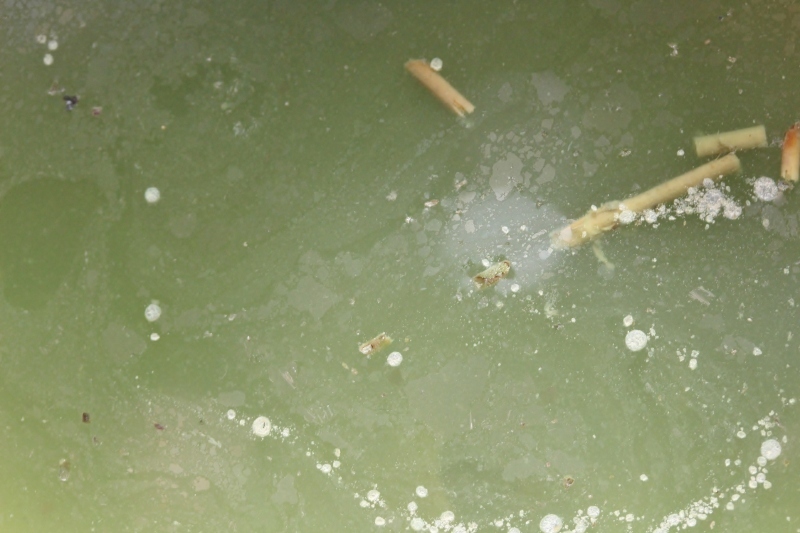 硬水が飲んでみたい、そして_b0220318_06574278.jpg