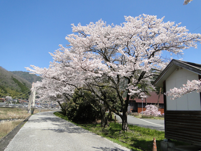 ワシの叫び!_b0200721_18140471.jpg