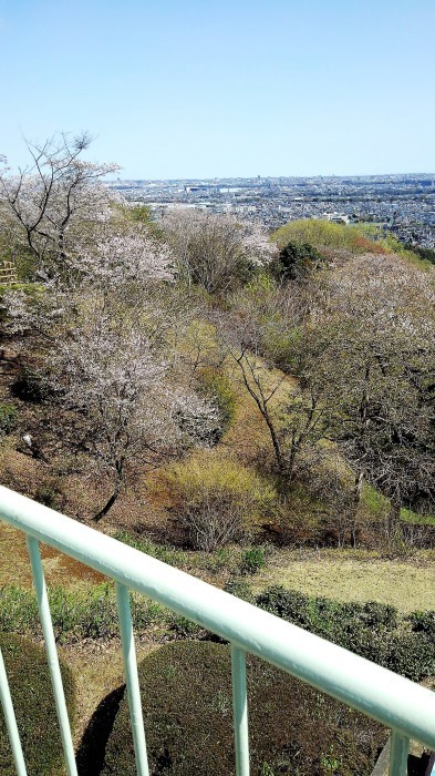 ■散歩【愛川町 八菅山迄のウォーキング】_b0033423_01192519.jpg