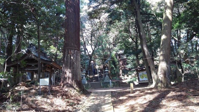 ■散歩【愛川町 八菅山迄のウォーキング】_b0033423_01345470.jpg