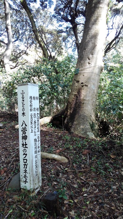 ■散歩【愛川町 八菅山迄のウォーキング】_b0033423_01402240.jpg