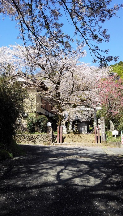 ■散歩【愛川町 八菅山迄のウォーキング】_b0033423_01582624.jpg