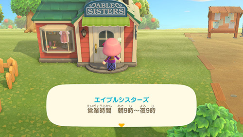 エイブル シスターズ まとめ買い