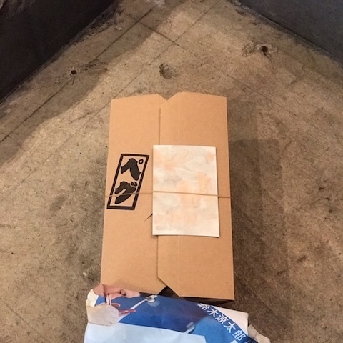 ヌーディーなピンクいろ_d0364239_19183646.jpg