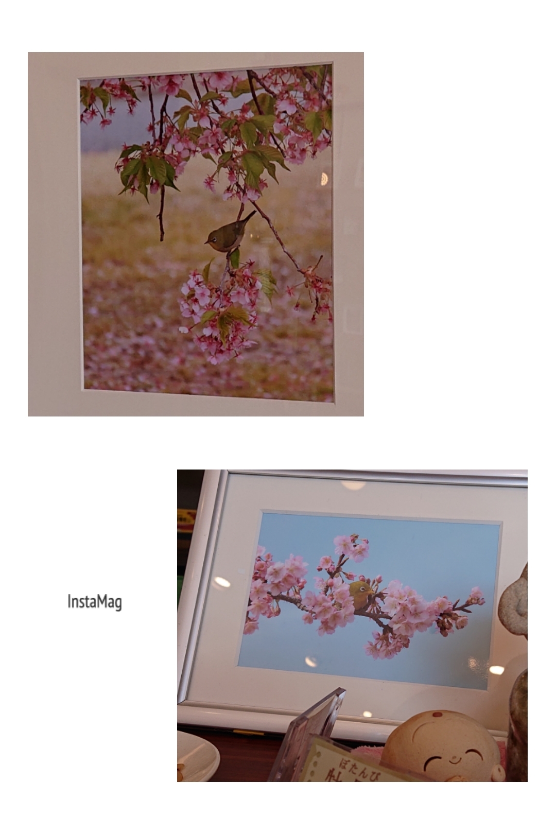 お花見_b0328361_21071582.jpg