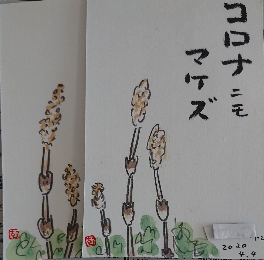つくし コロナにも負けず ムッチャンの絵手紙日記 つくし コロナにも負けず ムッチャンの絵手紙日記