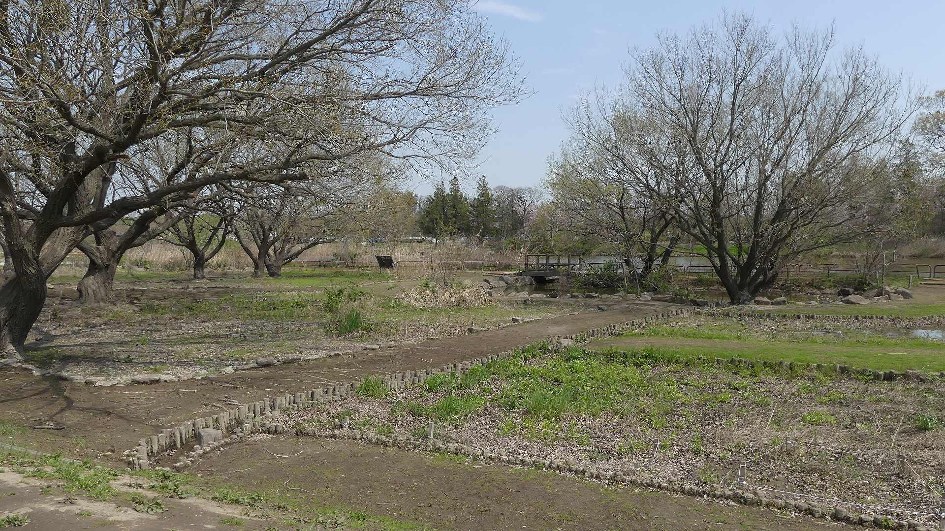 遅くなっちゃってゴメン! 【 2020 4/3(金) 】_a0185081_09393622.jpg