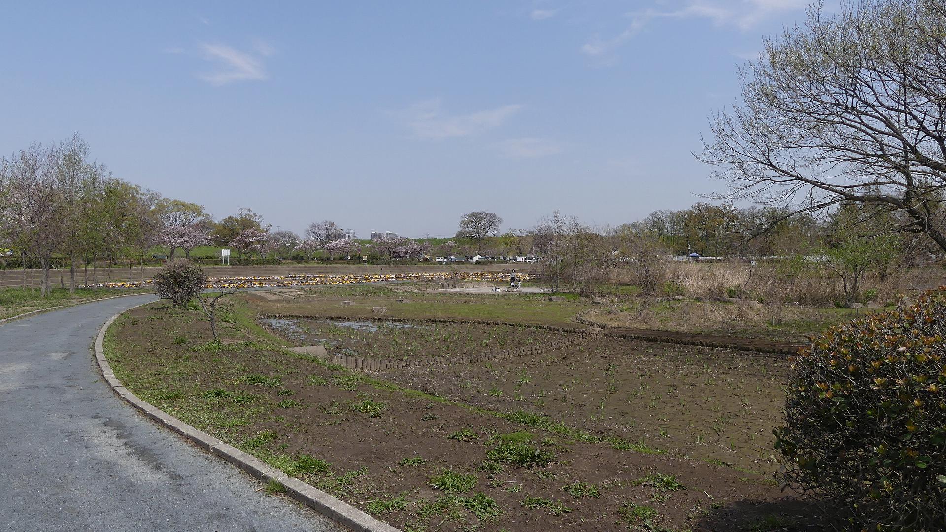 遅くなっちゃってゴメン! 【 2020 4/3(金) 】_a0185081_09395374.jpg
