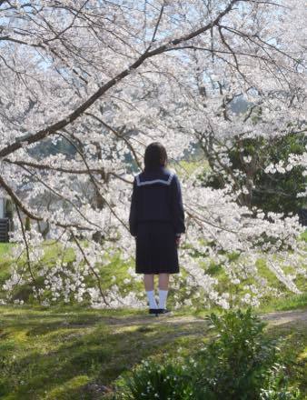 関係ないけど先日は鳥取砂丘の写真を........._b0194185_17474009.jpg