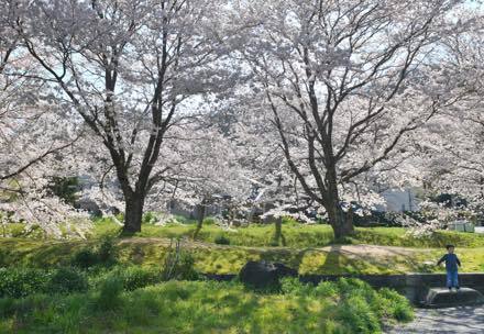 関係ないけど先日は鳥取砂丘の写真を........._b0194185_17475290.jpg