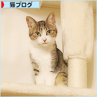 しろちゃんの怒り_a0389088_04144077.jpg